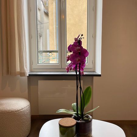 La Maison Douce ลงส์-เลอ-โซนีเย ภายนอก รูปภาพ